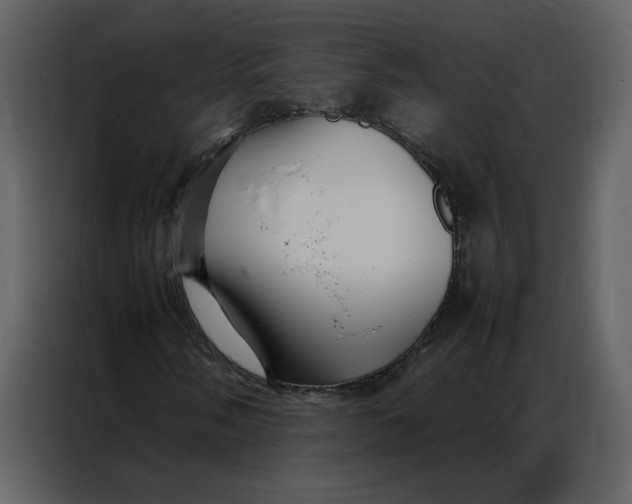 X0000086991058200705071432