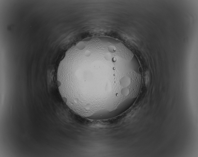 X0000086991059200705071432