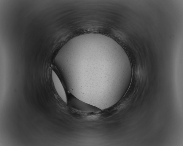 X0000086991060200705071432