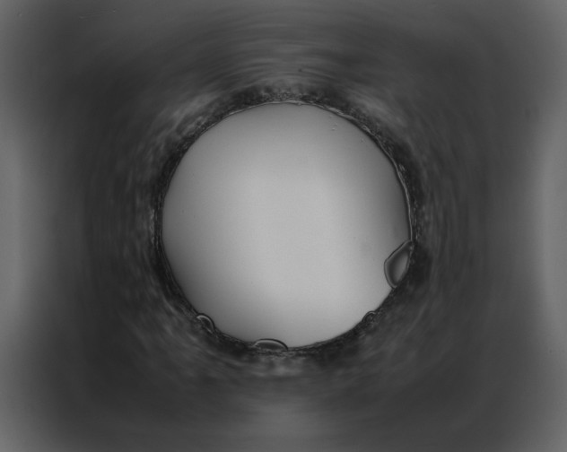 X0000086991061200705071432