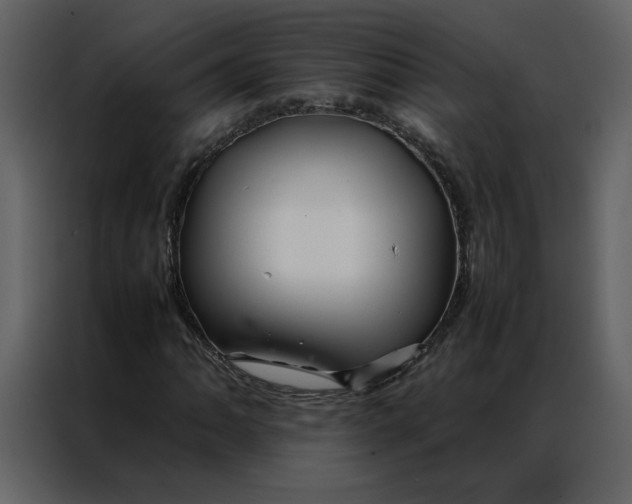 X0000086991062200705071432