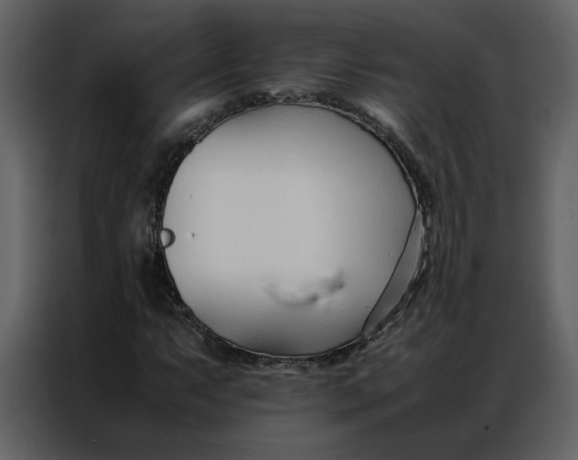 X0000086991063200705071432