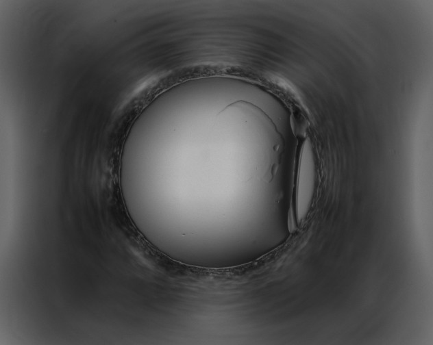 X0000086991064200705071432