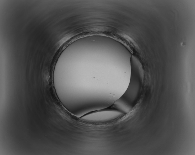 X0000086991065200705071432