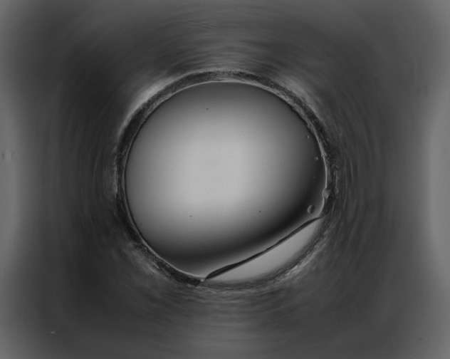 X0000086991069200705071432