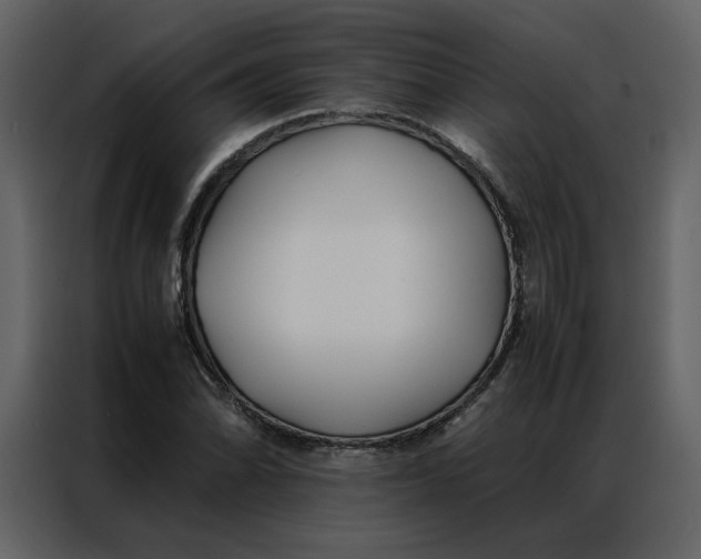 X0000086991070200705071432