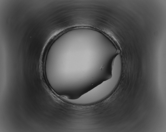 X0000086991072200705071432