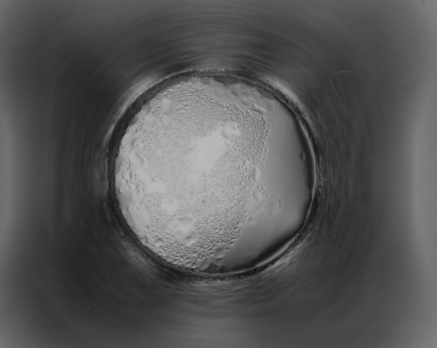 X0000086991075200705071432