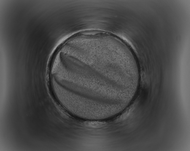 X0000086991077200705071432