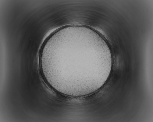 X0000086991078200705071432