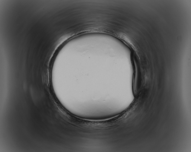 X0000086991079200705071432