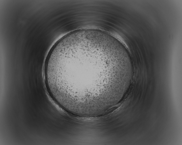 X0000086991084200705071432