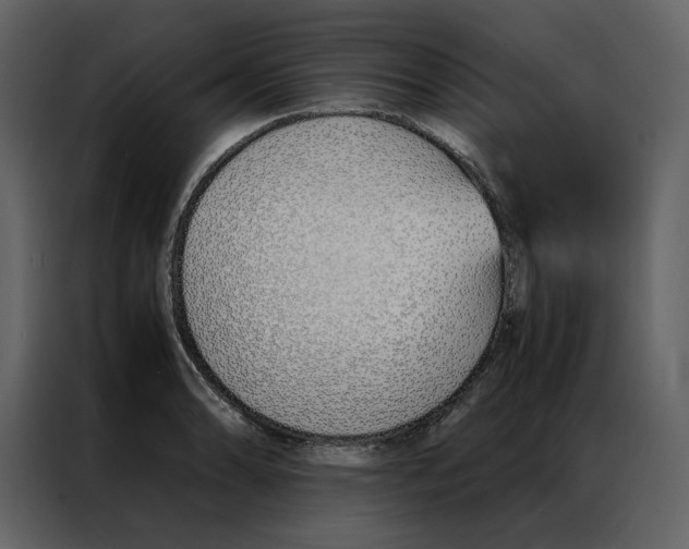 X0000086991086200705071432