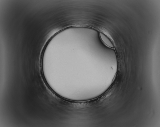 X0000086991087200705071432