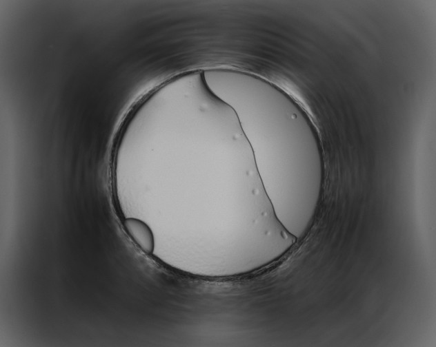 X0000086991088200705071432