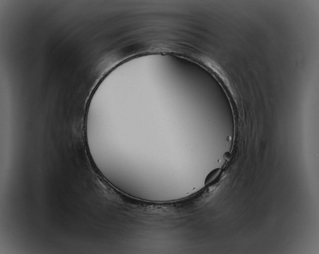 X0000086991089200705071432