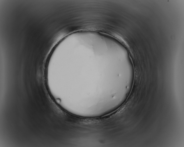 X0000086991091200705071432