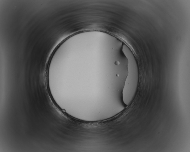 X0000086991092200705071432