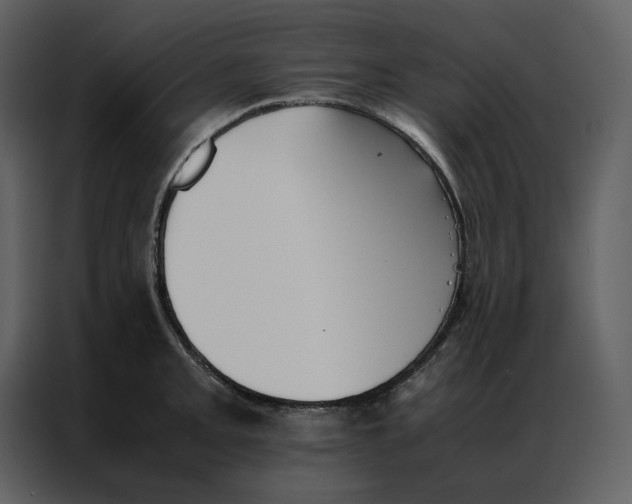 X0000086991093200705071432