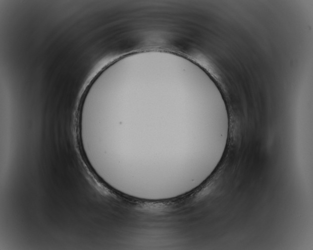 X0000086991094200705071432