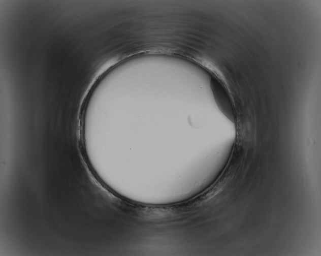 X0000086991095200705071432