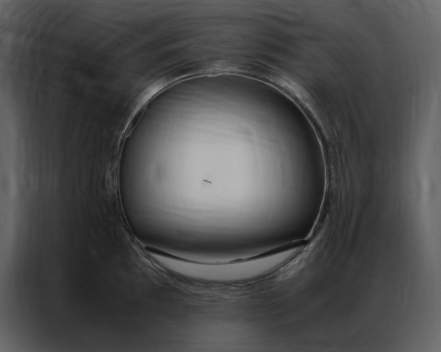 X0000086991097200705071432