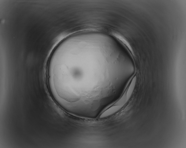 X0000086991099200705071431