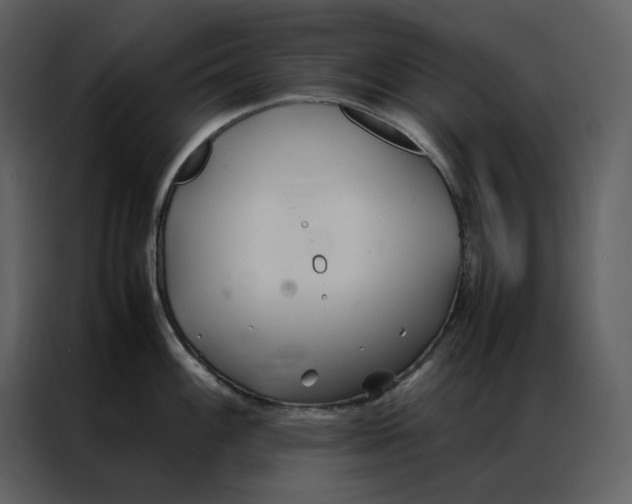 X0000086991100200705071431