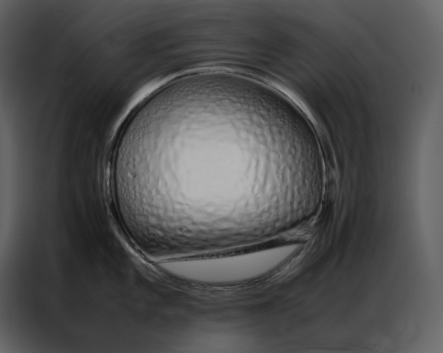 X0000086991101200705071431