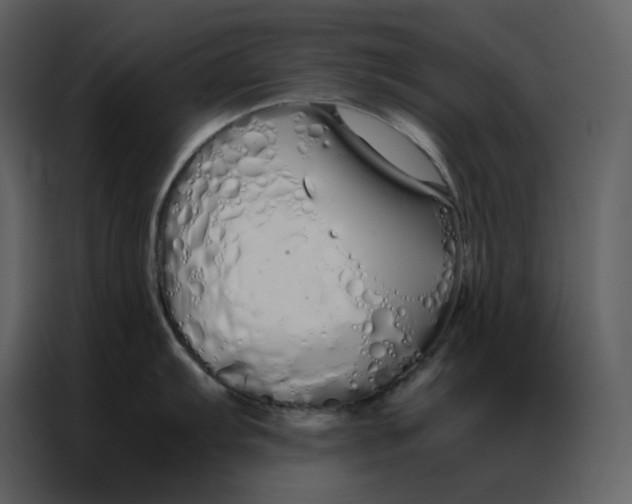 X0000086991103200705071431