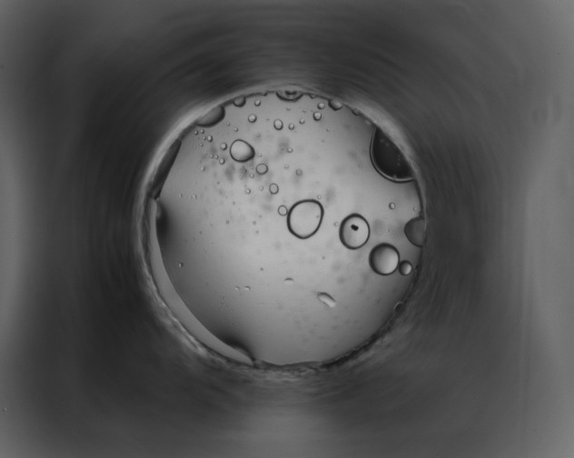 X0000086991104200705071431