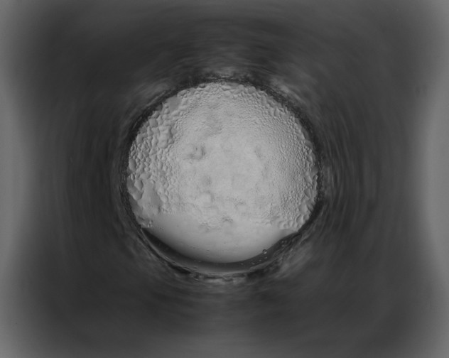 X0000086991105200705071431