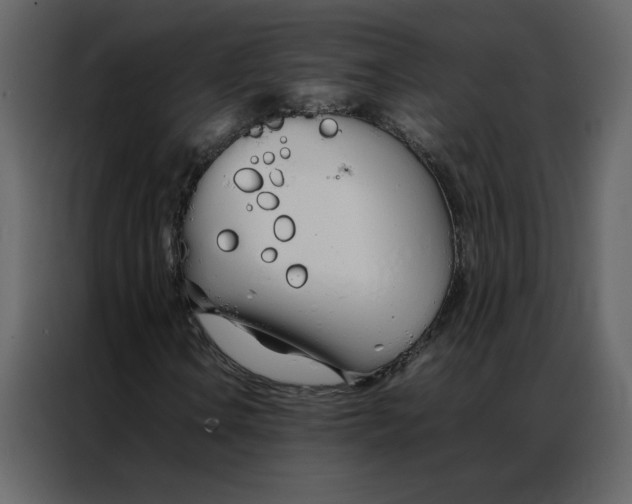 X0000086991106200705071431