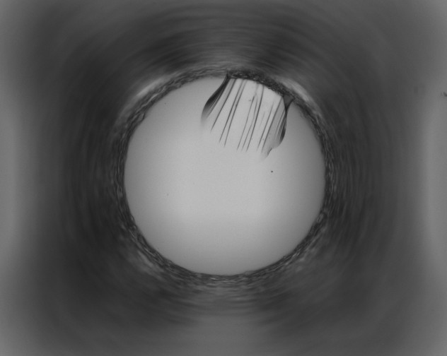 X0000086991112200705071431