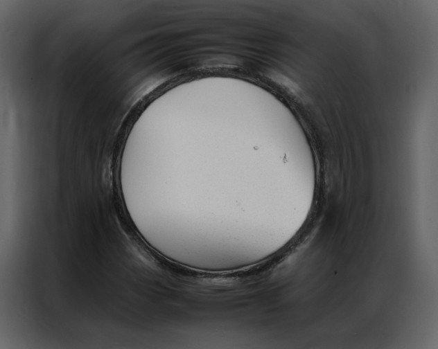 X0000086991113200705071431