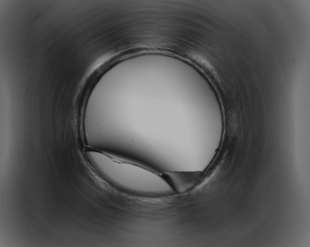 X0000086991114200705071431