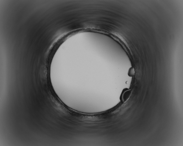 X0000086991115200705071431