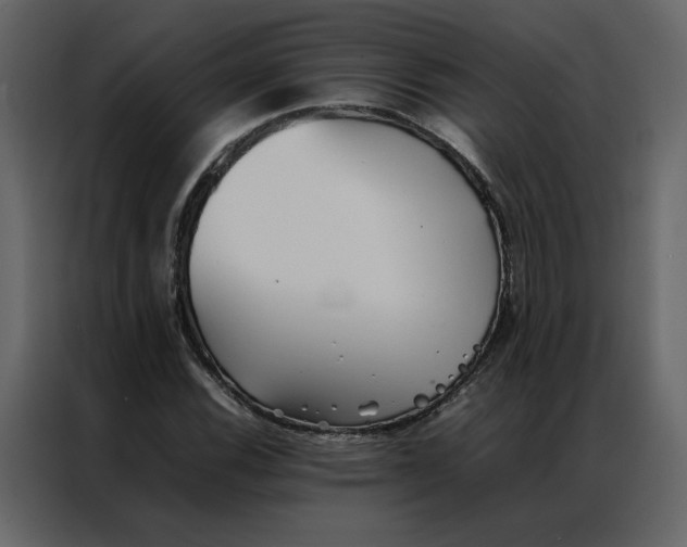 X0000086991116200705071431