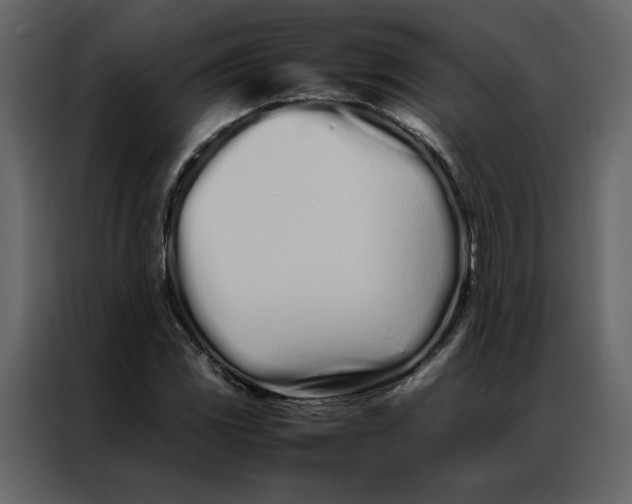 X0000086991117200705071431