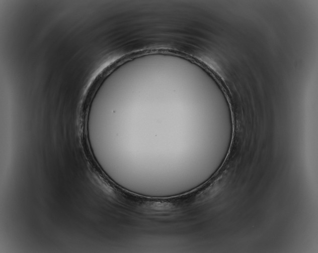 X0000086991119200705071431