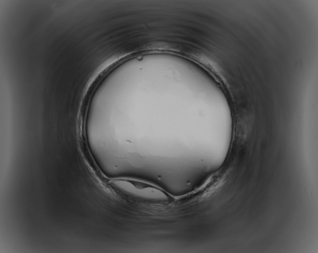 X0000086991125200705071431