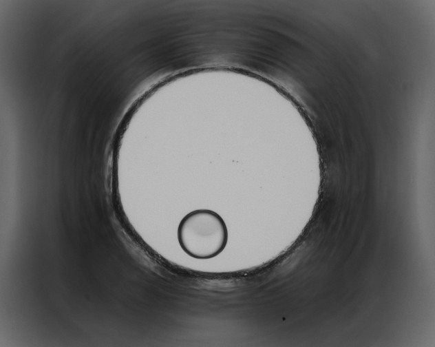 X0000086991126200705071431