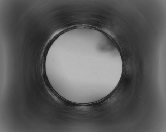 X0000086991127200705071431