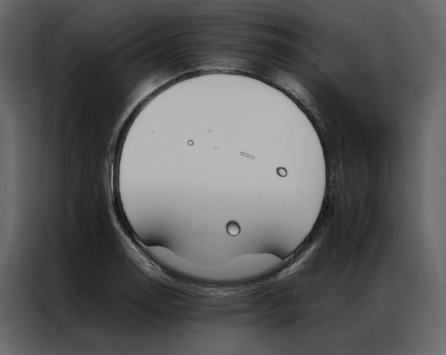 X0000086991130200705071431