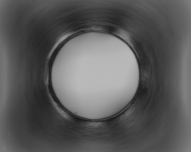 X0000086991131200705071431