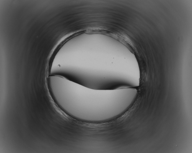 X0000086991132200705071431