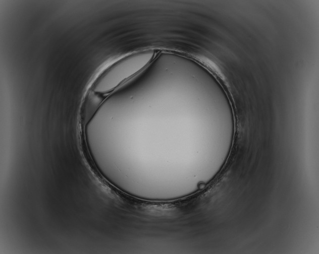 X0000086991133200705071431