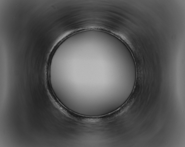 X0000086991134200705071431