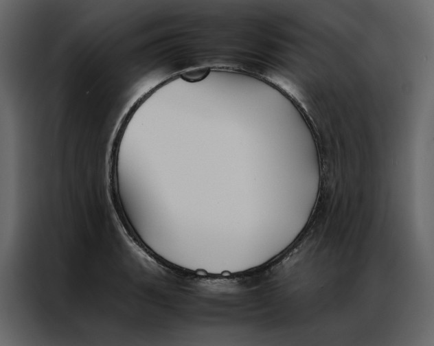 X0000086991135200705071431