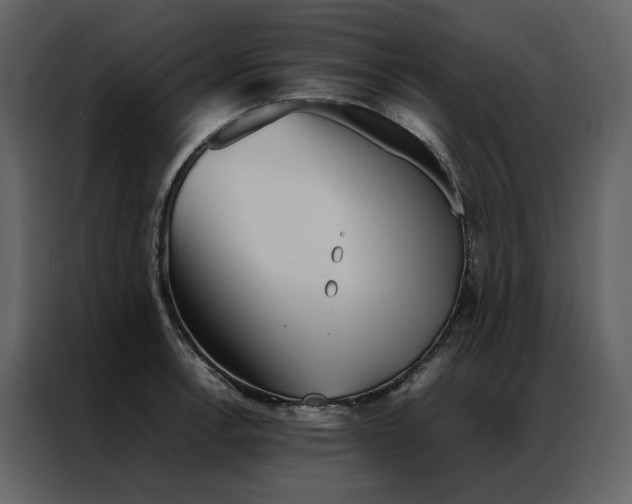 X0000086991138200705071431